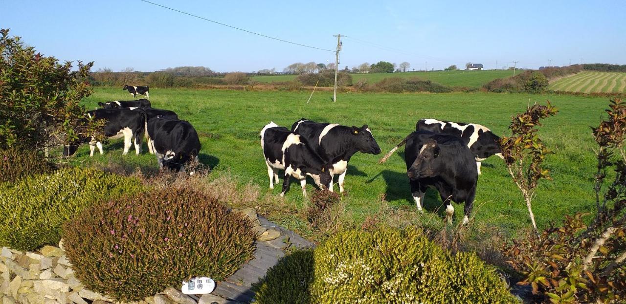 Murphys Irish Farmhouse Τράλι Εξωτερικό φωτογραφία