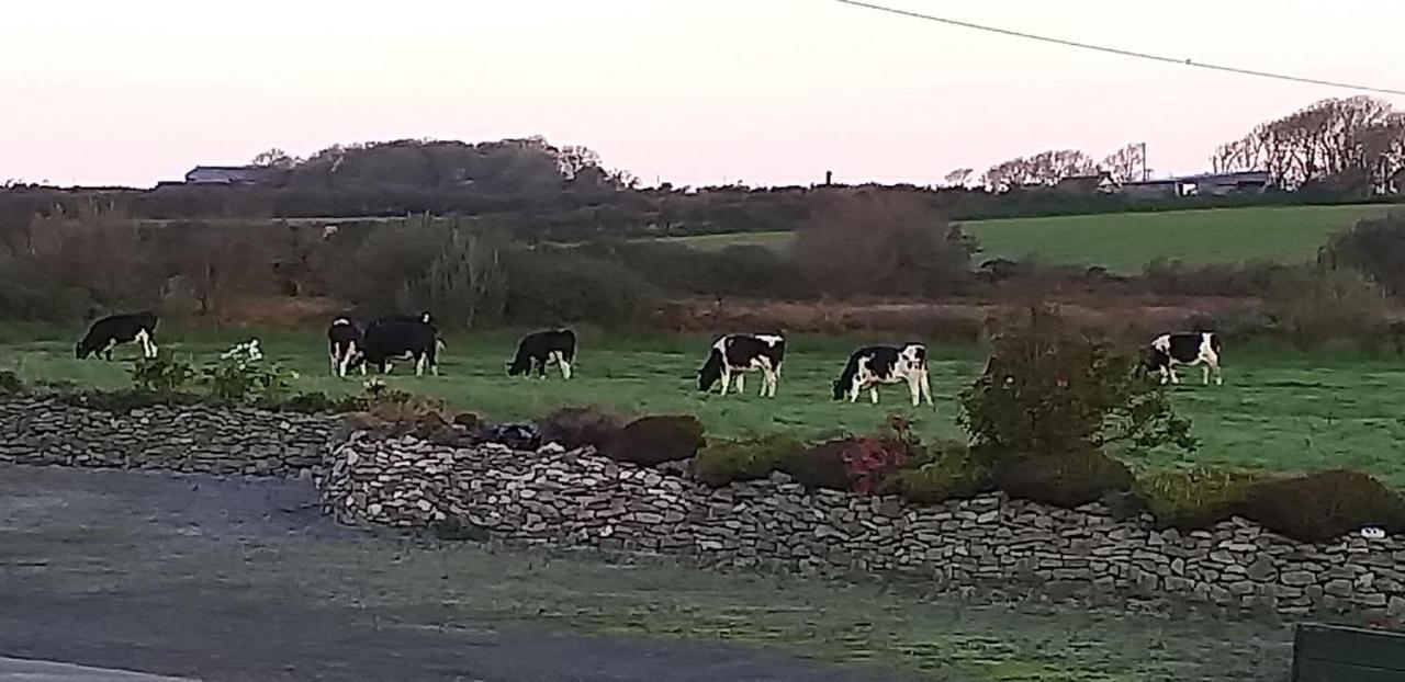 Murphys Irish Farmhouse Τράλι Εξωτερικό φωτογραφία